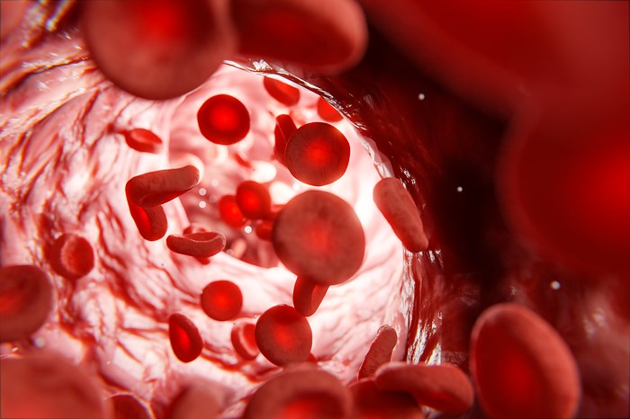 Des globules rouges
